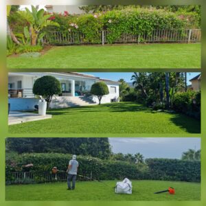 jardin