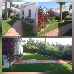 jardin1