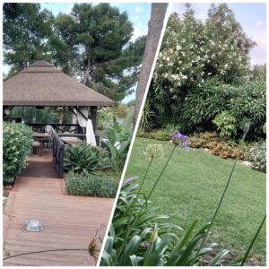 jardin2